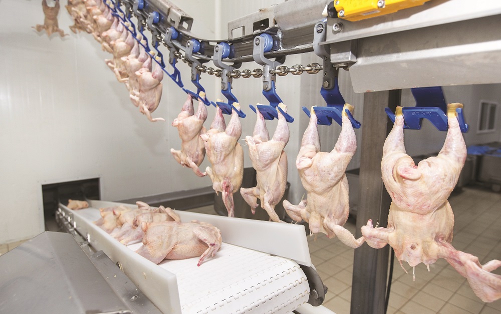 Jack Brand Reports Operating Loss After poor Performance Poultry News